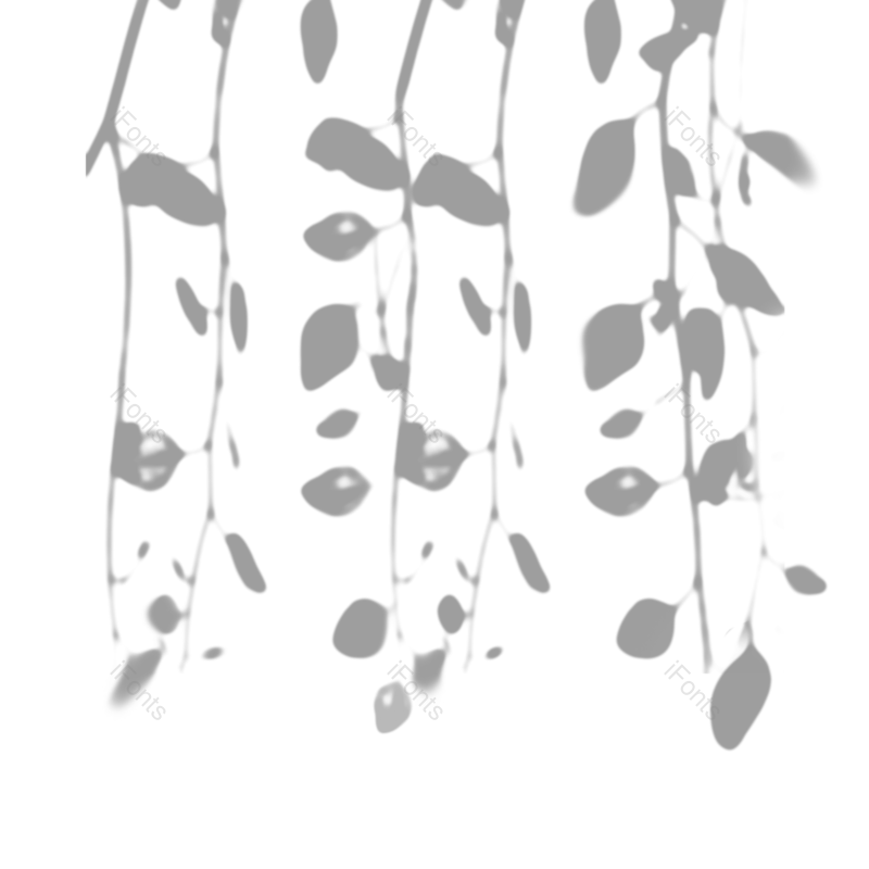 叶子图片,树叶元素,阴影PNG,灰色免抠素材